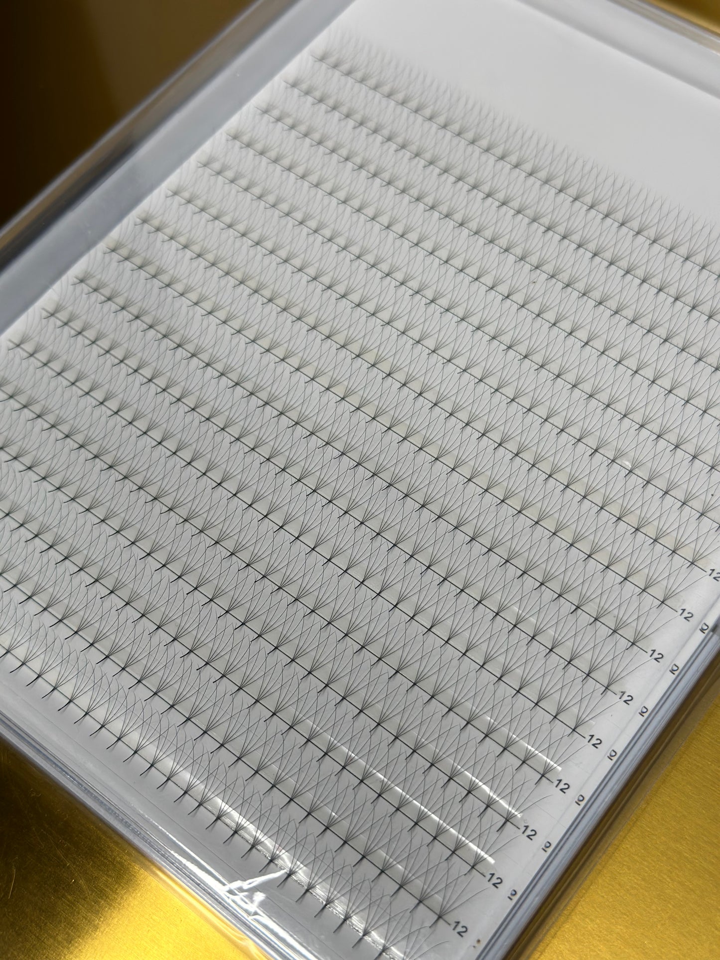 4D Wimpernfächer 600 stk. (B,C,L Curls)