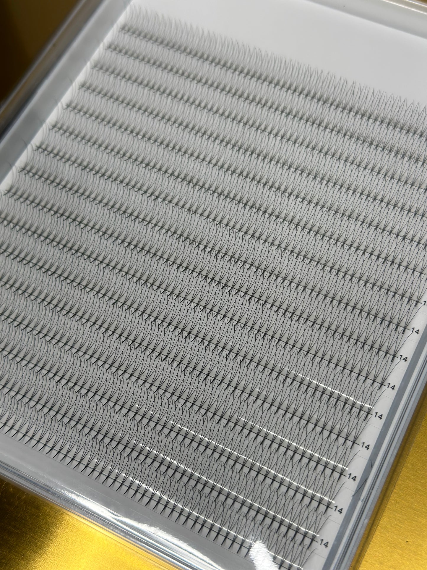 3D Wimpernfächer 1000 stk. (C,M Curls)